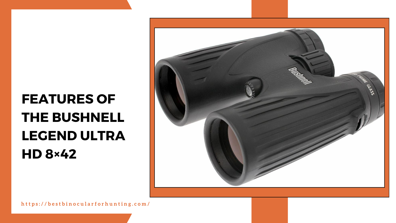 Bushnell Legend Ultra HD 8×42 Binocular Review