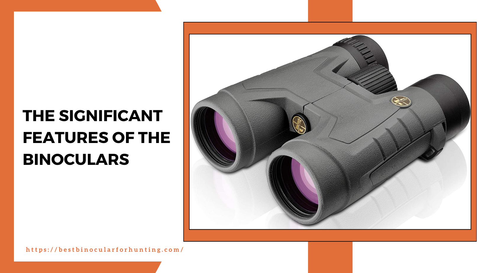 Leupold BX2 Acadia 10x42 Binoculars Review