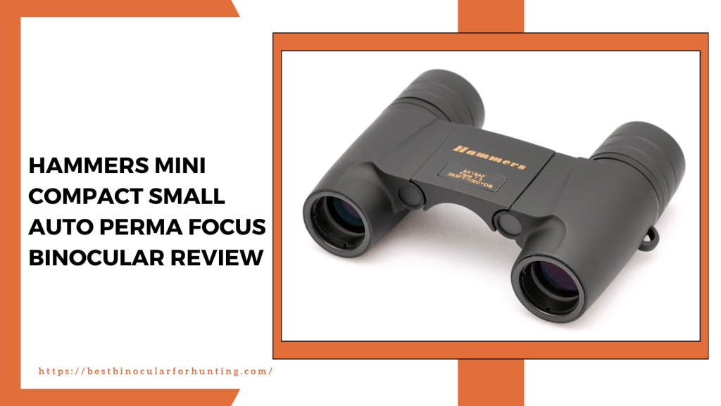 Hammers Mini Compact Small Auto Perma Focus Binocular Review