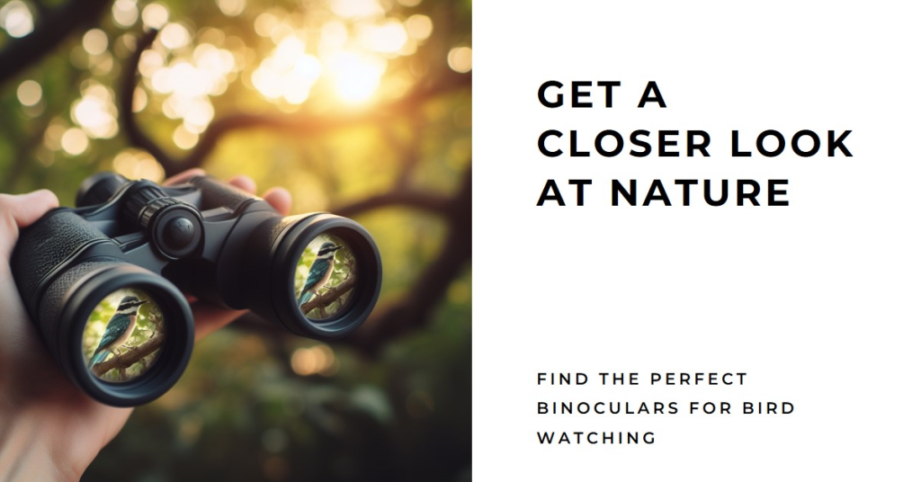 Best Binoculars for Bird Watching Under $100 in 2024: