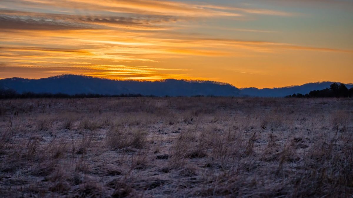Open grassland at sunrise with distant mountains on the horizon