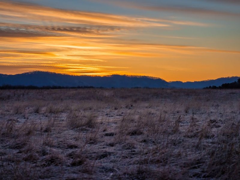 Open grassland at sunrise with distant mountains on the horizon