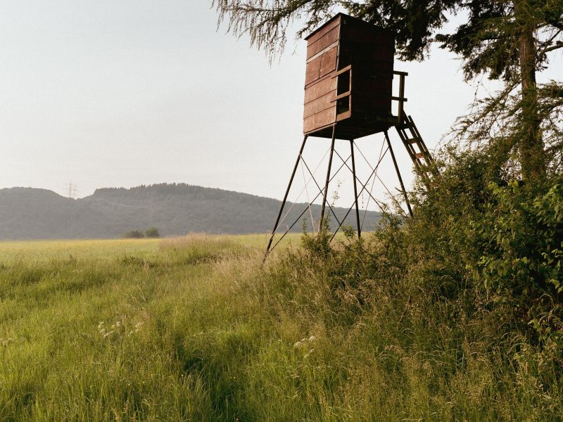 Raised wooden deer stand overlooking a grassy field with hills beyond
